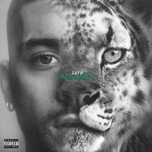 zayn konnakol